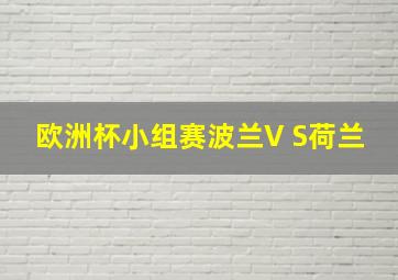 欧洲杯小组赛波兰V S荷兰